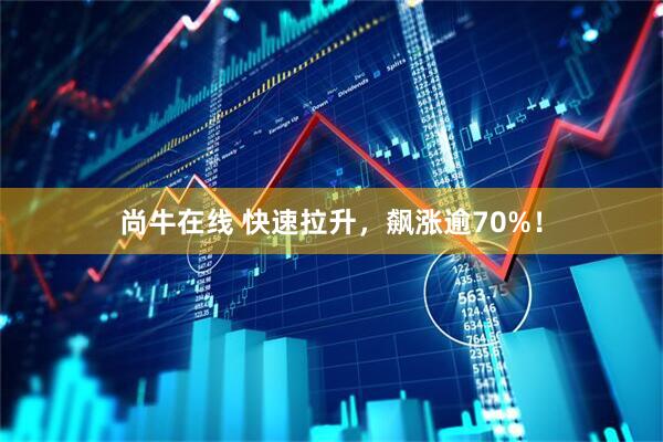 尚牛在线 快速拉升，飙涨逾70%！