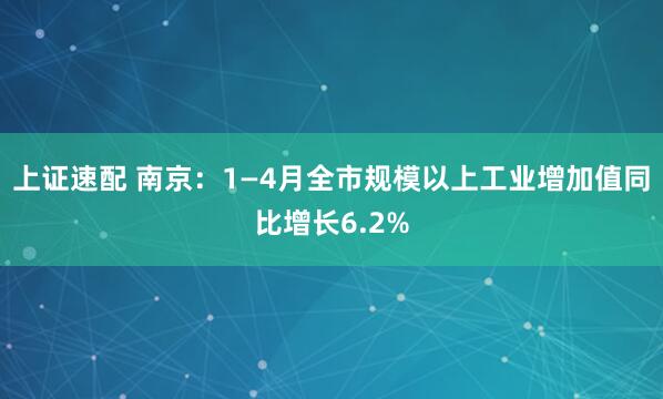 上证速配 南京：1—4月全市规模以上工业增加值同比增长6.2%