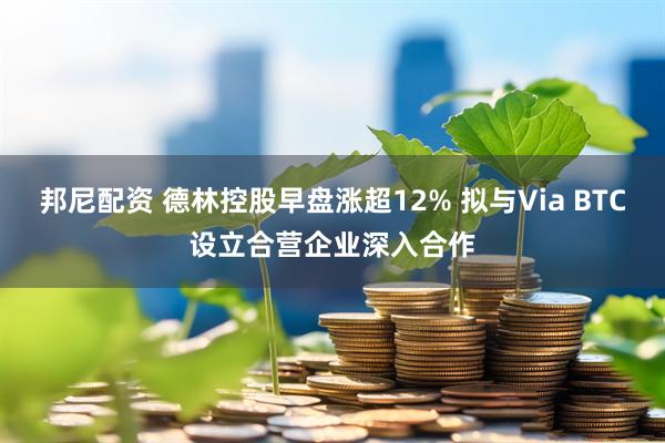 邦尼配资 德林控股早盘涨超12% 拟与Via BTC设立合营企业深入合作