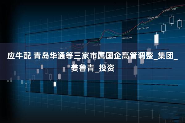 应牛配 青岛华通等三家市属国企高管调整_集团_姜鲁青_投资
