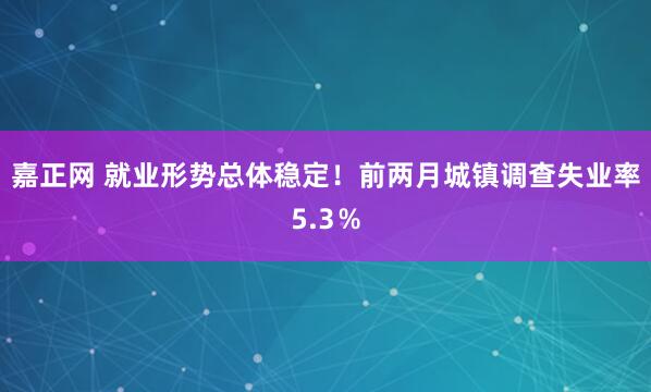 嘉正网 就业形势总体稳定！前两月城镇调查失业率5.3％